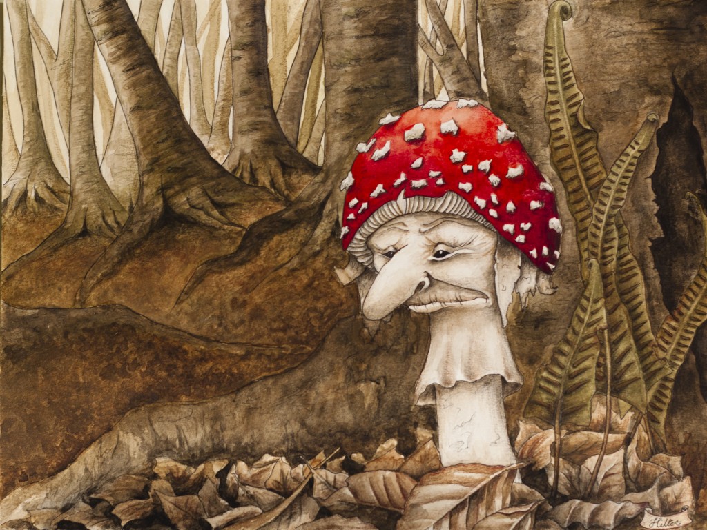 Flay agaric mushroom in woodland