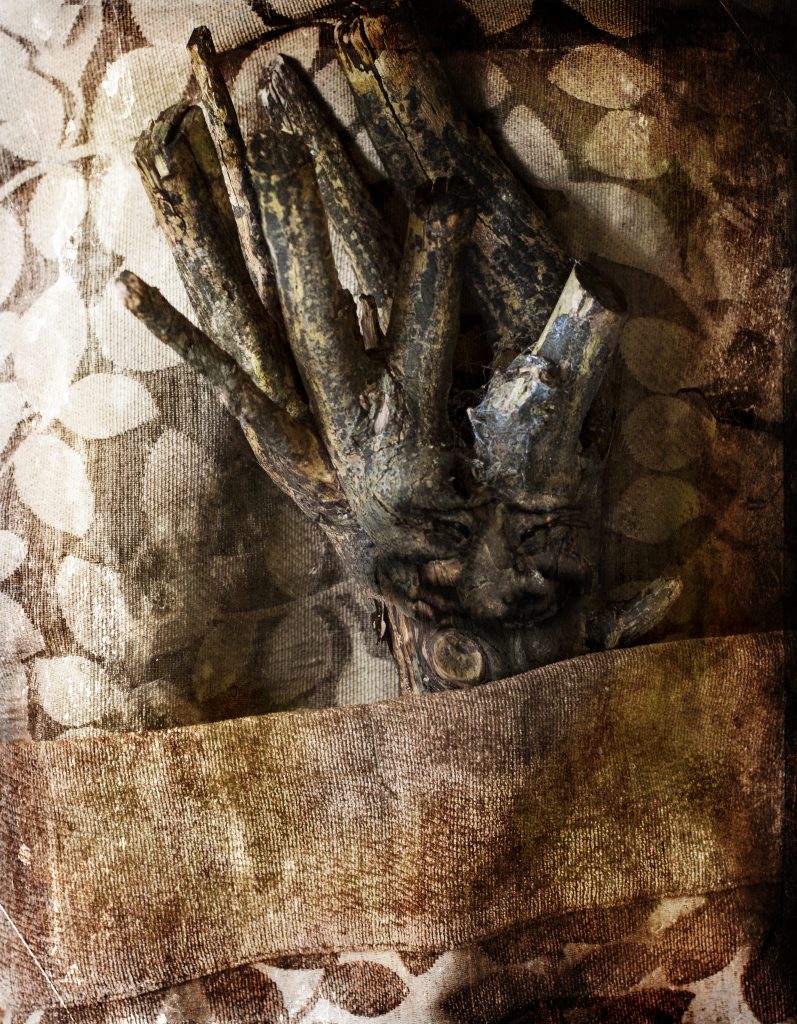 faery changeling